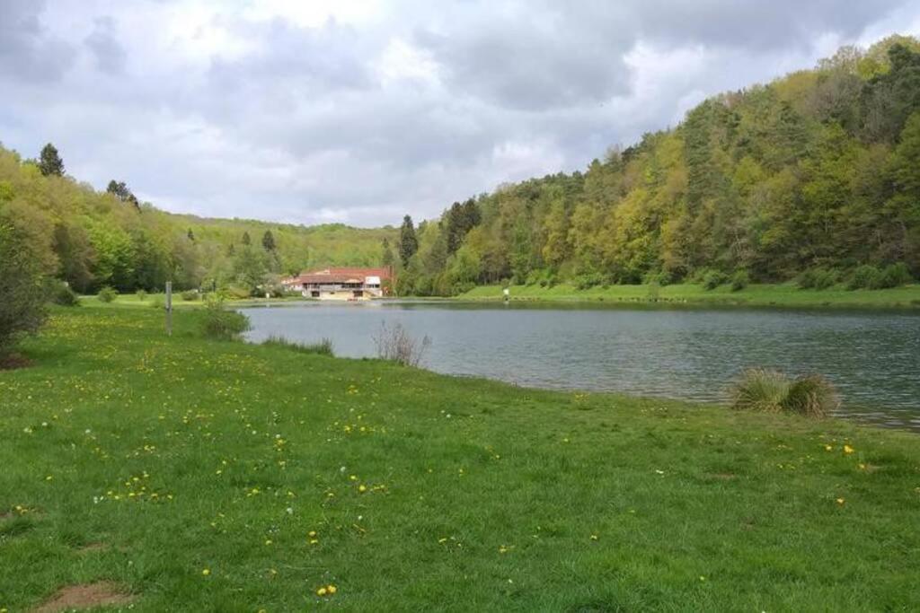 Le Repaire Des Herissons Vallee De Rabais Virton Dış mekan fotoğraf